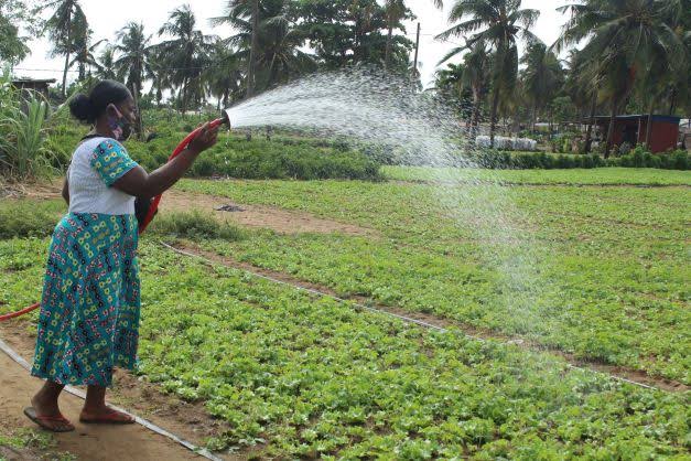 Irrigation des cultures
